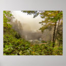 Suche nach forst poster Wald