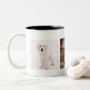 Suche nach bilder der katzen tassen Foto