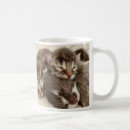 Suche nach babykatze tassen Haustier