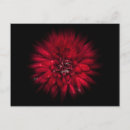 Suche nach zoom postkarten Jede person