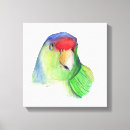 Suche nach niedlicher vogel leinwandbilder Haustier