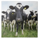 Suche nach stehend fliesen Natur