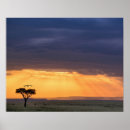 Suche nach akazienbaum poster Landschaft