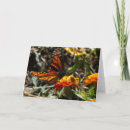 Suche nach ringelblume karten Jede person