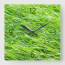 Suche nach gras ist grüner wanduhren Wiese