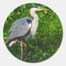 Suche nach heron aufkleber Tierwelt