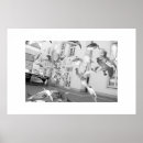 Suche nach gerahmter druck poster Vögel