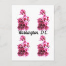 Suche nach kirsche postkarten Washington dc
