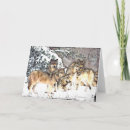 Suche nach wolf pack karten Tiere