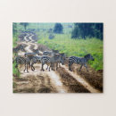 Suche nach zebrastreifen puzzle Afrikanisch