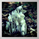 Suche nach ghost poster Für sie