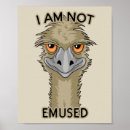 Suche nach emu poster Jede person