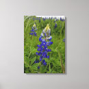 Suche nach haube kunst Blumen