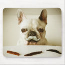 Suche nach der französischen bulldogge mousepads Haustier