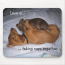 Suche nach nickerchen machen mousepads Spaß