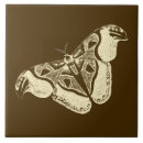 Suche nach sinti und roma fliesen Natur