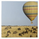 Suche nach kenia fliesen Herde
