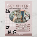 Suche nach hund im flyer Chef