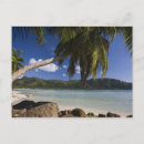 Suche nach mähen sie postkarten Strand