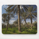 Suche nach tunesien mousepads Landschaft