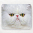 Suche nach perser mousepads Katze