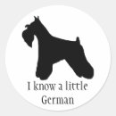 Suche nach zwergschnauzer Hund