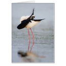 Suche nach stelzen postkarten Vögel