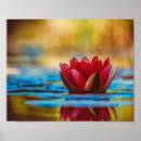 Suche nach wasserlilien poster Blumenreich
