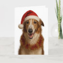 Suche nach borzoi karten Weihnachten