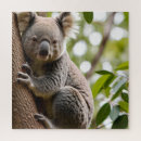Suche nach koala puzzle Tierwelt