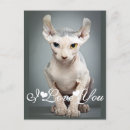 Suche nach wütende katze postkarten Jede person