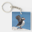 Suche nach puffin schlüsselanhänger Tier