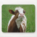 Suche nach milchkuh mousepads Niedlich