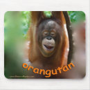 Suche nach orang utan mousepads Für alle