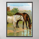 Suche nach zwei pferde poster Vintag