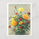 Suche nach ringelblume postkarten Tagetes