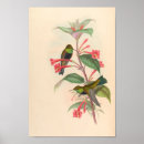 Suche nach vintage kolibris poster Blume