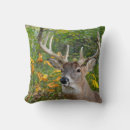 Suche nach buckel kissen Jede person