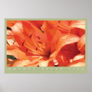 Suche nach orange lilien poster Natur