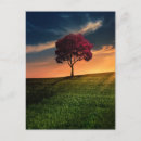 Suche nach rote sonne postkarten Natur