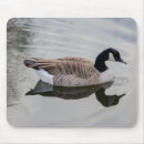 Suche nach kanada gänse mousepads Tierwelt