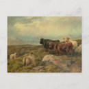 Suche nach 85 postkarten Reich