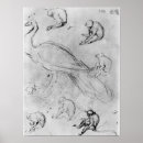Suche nach study poster Bird