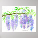 Suche nach wisteria poster Violette blumen