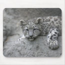 Suche nach schneeleoparden mousepads Zoo