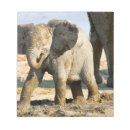 Suche nach afrikanischer elefant notizblock Wildtiere