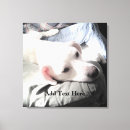 Suche nach couch kunst Welpe