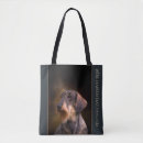 Suche nach draht tote bags Hund