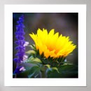 Suche nach hellgelb poster Blume