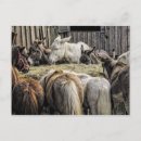 Suche nach esel postkarten Lustig